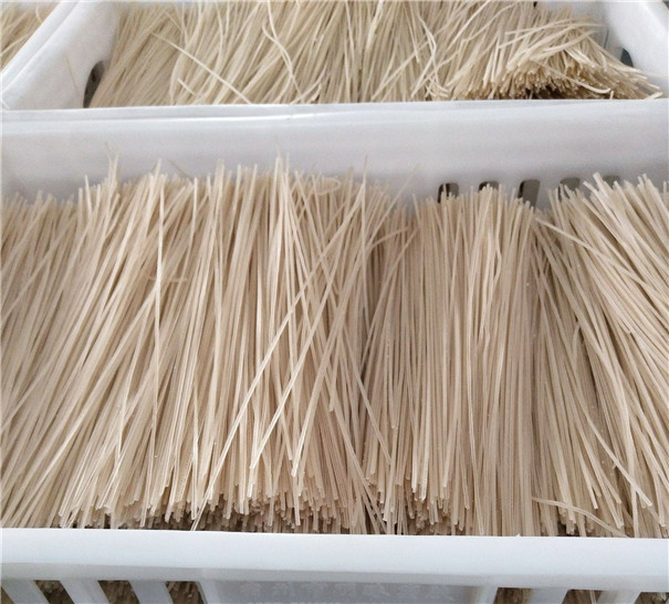芭蕉芋淀粉加工成品--芭蕉芋粉絲
